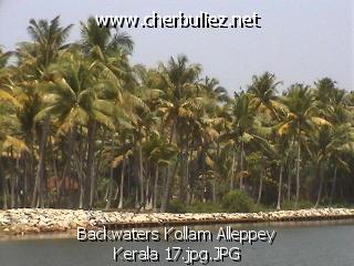 légende: Backwaters Kollam Alleppey Kerala 17.jpg.JPG
qualityCode=raw
sizeCode=half

Données de l'image originale:
Taille originale: 109665 bytes
Heure de prise de vue: 2002:02:26 08:42:36
Largeur: 640
Hauteur: 480

